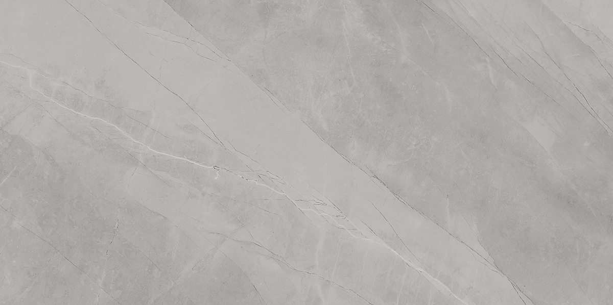 ARMANI GRIS