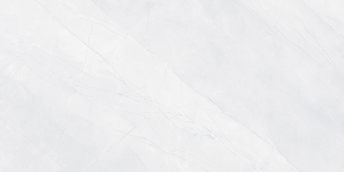 ARMANI SILVER