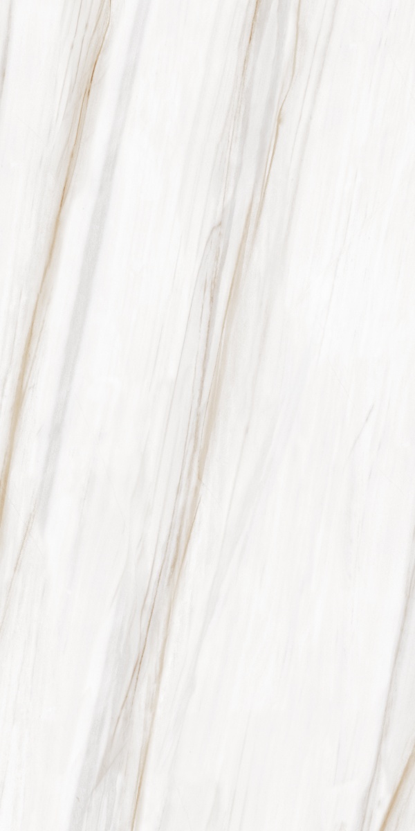 LIMOD SILK